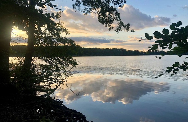 Versteck am Caputher See