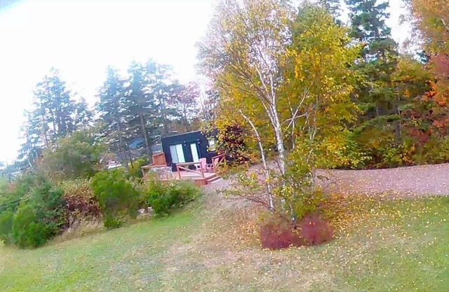 Oceanfront Shipping Container Studio Retreat | Nature Escape