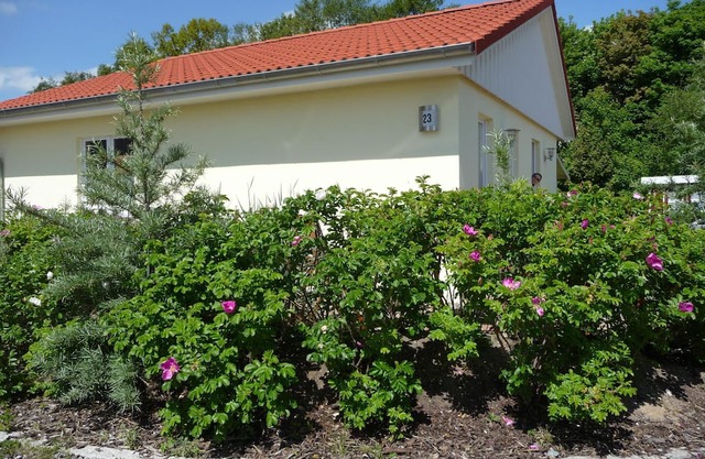 family-friendly, comfortable accommodation, 2 terraces, 200 m to the beach