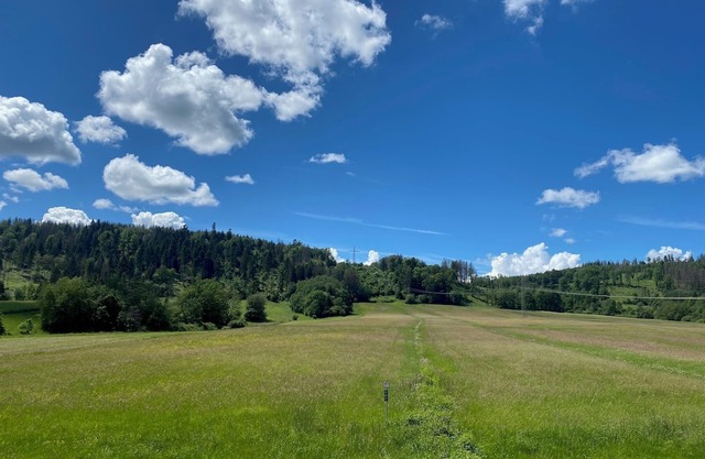 Vacation apartment "Friedersdorfer Mühle" in an idyllic secluded location