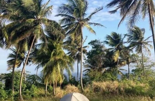 Camping Barbados #1 Bring Your Own Tent