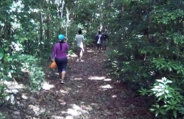 Camping Barbados #2 Bring Your Own Tent