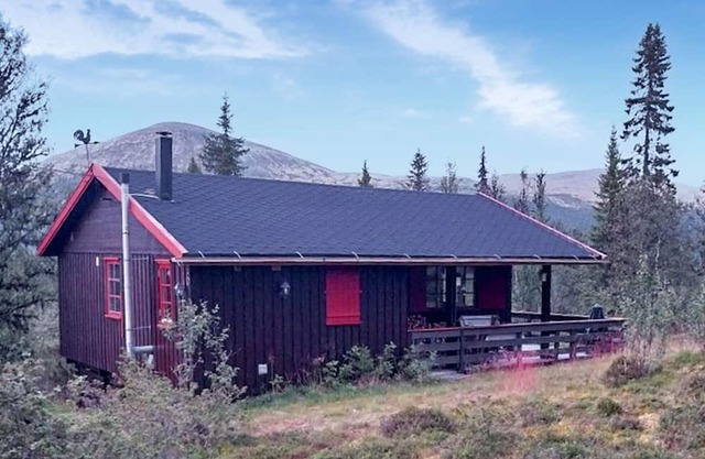 3 bedroom beautiful home in Tynset