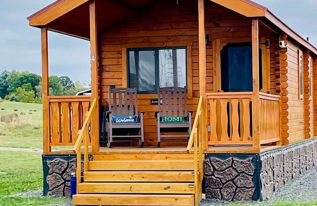 Finger Lakes Cozy Cabin on Seneca Wine Trail 4