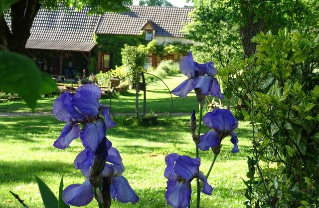Périgourdine Holiday Home - 3 Bedrooms