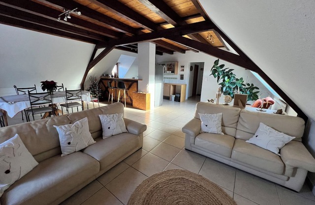 Apartment 45 minutes from Europa Park