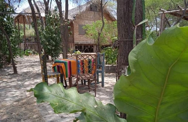Wasi Center
