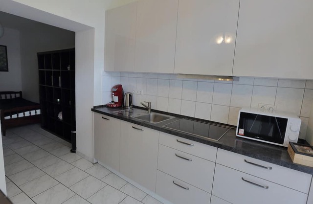 City Apartment 1 - Located directly in the pedestrian zone and Brühl Palace Park