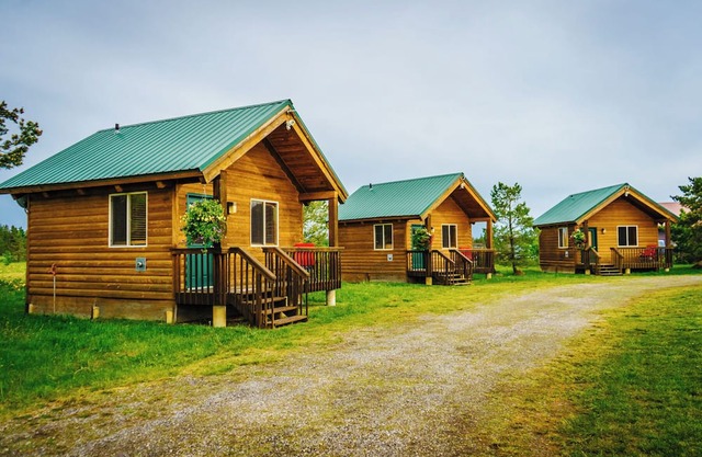 Cozy Mini-Cabin Surrounded by Nature's Beauty!