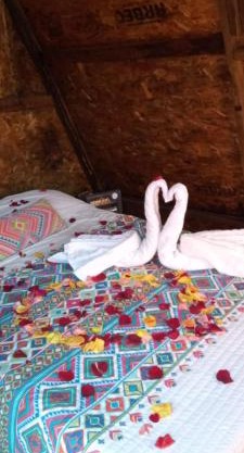 Hotel Vicalis Glamping