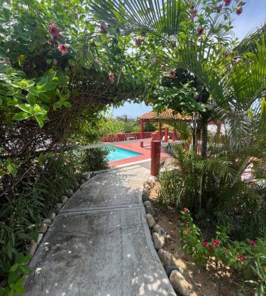 Seaside Serenity: Iconic Surf Bungalows