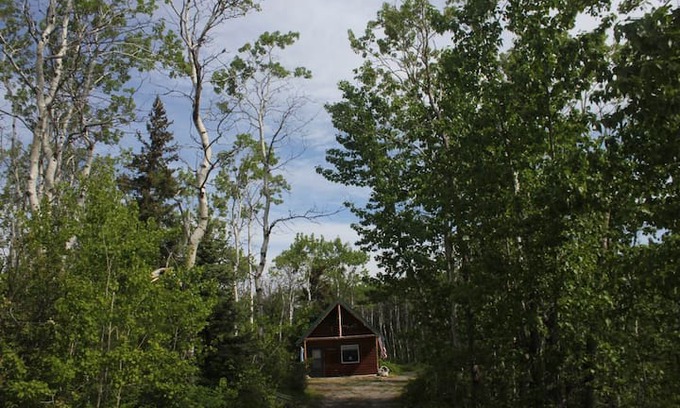 Babb Cabin | Quaking Aspen Hide Away
